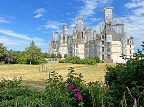 Blick über ein Feld und Blumen auf Schloss Chambord