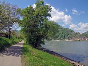 Donau-Radweg Wachau