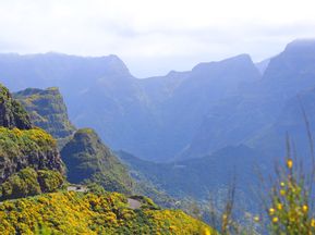 Picturesque view of Madeira's overgrown mountains