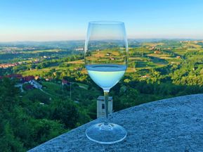 Wine glass in beautiful Piedmont