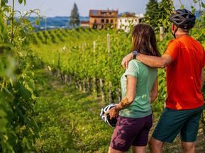 Cyclist couple surrounded by green vines