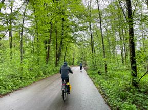 Cyclists ride through the forest