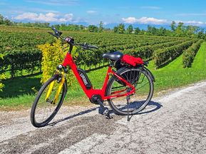 Eurobike E-Bike vor Weinreben