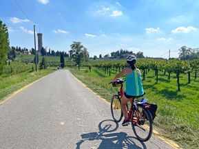 Cyclist next to vines