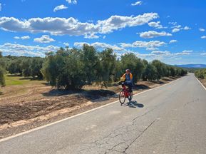 Radfahrer auf Landstraße inmitten von spanischer Landschaft
