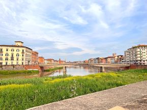 View of a meadow and a bridge on the river Arno
