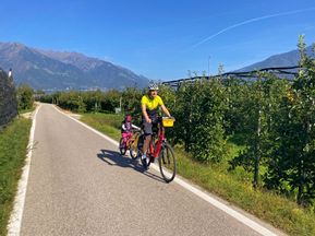 Radfahrer auf einem Radweg entlang der Apfelplantage