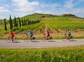 Radfahrer in der Gruppe in Piemont