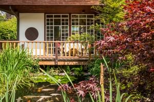 Teehaus im japanischen Stil mit Holzterrasse über einem Teich mit Koi-Fischen, umgeben von üppigem Grün und roten japanischen Ahornbäumen.