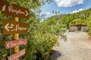 Wooden directional signs showing Reception, Piscina, Yoga e Pilates, and Accesso Chalet at Le Valli Agriturismo in Casciana Terme, with olive trees and hills.