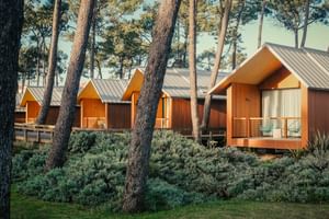 Modern wooden cabins with metal roofs and terraces at FeelViana Sport Hotel Cabedelo, nestled among tall pine trees and green vegetation.