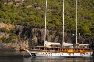 Admiral exterior view