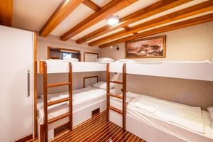 Kompakte Schiffskabine auf der Boreas mit Holz-Stockbetten, sichtbaren Deckenbalken, nautischer Kunst und Teakboden in warmer Beleuchtung.