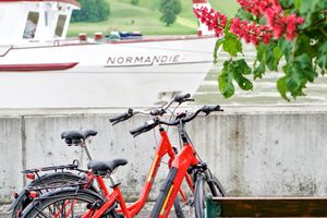 MS Normandie rental bike