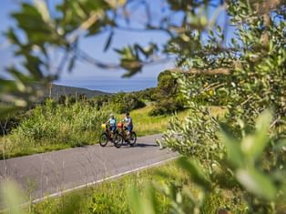 Two cyclists riding on paved path through green landscape with olive trees. View of Tyrrhenian Sea coast and hills in background under blue sky.