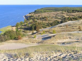 Dunes of the Curonian Spit