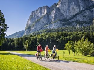 Radfahrer an der Drachenwand bei Mondsee Drei Radfahrer auf einer asphaltierten Straße mit gelben Packtaschen, fahrend durch grüne Wiesen mit den dramatischen Kalksteinfelsen der Drachenwand.
