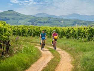 Two cyclists riding on dirt path through green vineyards near Monteforte Alpone, with rolling hills and mountains in the background.