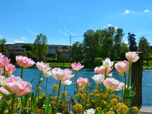 Lake Constance