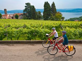 Radfahrer in einem Weingarten am Viverone See