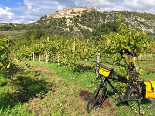 Ein Fahrrad lehnt an Weinreben, im Hintergrund ein Weingarten und eine mittelalterliche Stadt auf einem Hügel