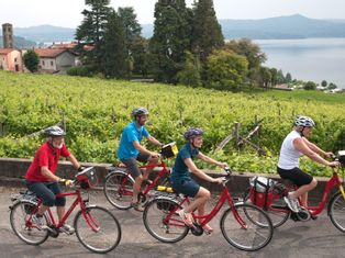 Group of cyclists in Piedmont