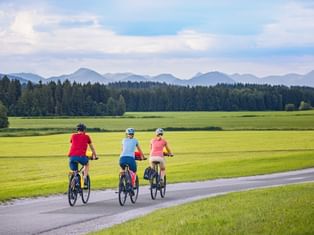 Drei Radfahrer auf einem asphaltierten Weg durch grüne Wiesen im Salzkammergut. Dichter Wald und Bergkette im Hintergrund sichtbar.