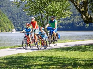 Vierköpfige Familie radelt auf Weg neben der Donau. Zwei Erwachsene und zwei Kinder mit Helmen fahren Rad mit bewaldeten Hügeln im Hintergrund.