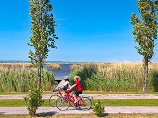 Zwei Radfahrerinnen am Schilfufer des Neusiedlersees