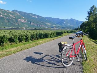 Eurobikerad am Etschradweg neben Apfelbäumen