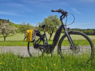 Cycling on the Mattsee cycle path
