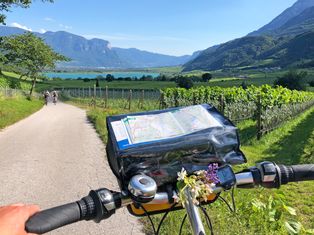 Blick vom Fahrrad auf Apfelhaine in Südtirol