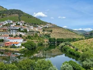 Covelinhas am Douro