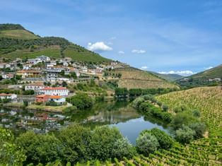 Scenic view of Douro Valley with terraced vineyards on hillsides, a village along the calm river, and blue sky with white clouds.