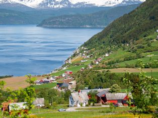 View of the Nordfjord over dandelion fields and the typical red and white wooden houses, with snow-covered mountains in the background