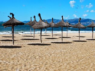 Straw umbrellas on the sandy beach in Mallorca
