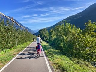 Radfahrer auf dem Radweg umgeben von Grün