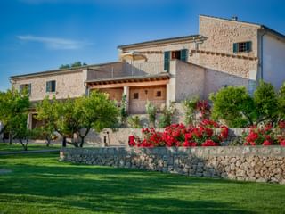 Steinfinca mit grünen Fensterläden und Terrasse auf Mallorca, umgeben von gepflegtem Rasen, Olivenbäumen und roten Blütenpflanzen auf Steinmauer.