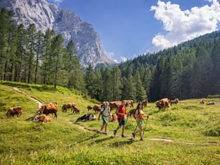 Hiker Vršič Pass