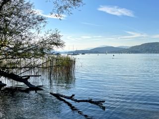 Wörthersee