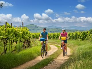 Two cyclists riding on a dirt path between green vineyard rows under blue sky with rolling hills in the Prosecco region.