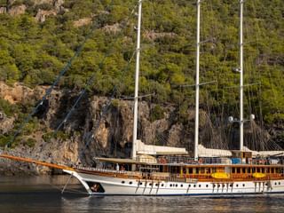 Admiral exterior view