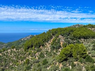 Landschaft mit Meerblick in Sencelles auf Mallorca