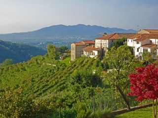 Weinanbau mit Dorf