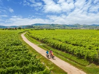 Panoramic view of three cyclists on the cycle path near Montforte Alpone
