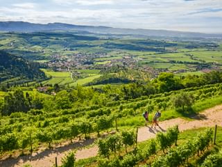 Hikers in Venetia
