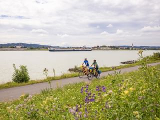 Donau Radweg Blumenwiese