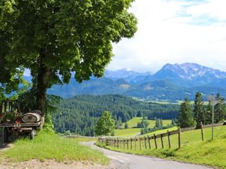 Bike and hiking trail near the Eisenberg ruins