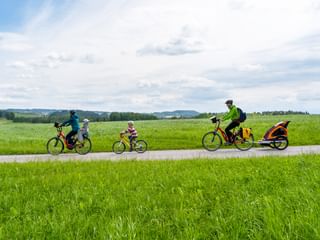 Cycling in the middle of green meadows