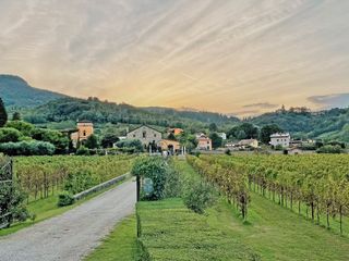 Sonnenuntergang über dem einladenden Weingut Torreglia mit alten Gebäuden und Rebstöcke